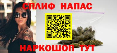 индика Краснознаменск