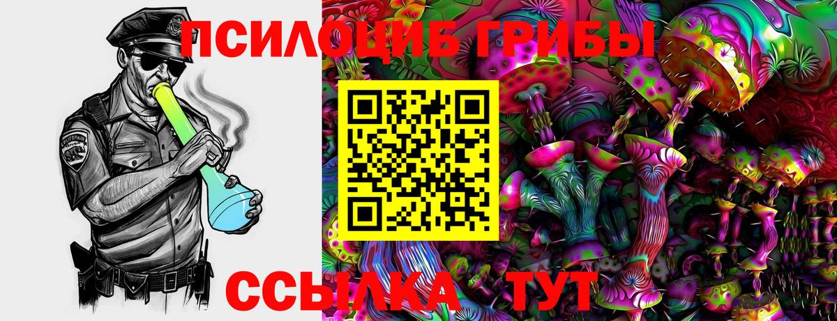 Галлюциногенные грибы Magic Shrooms Ижевск